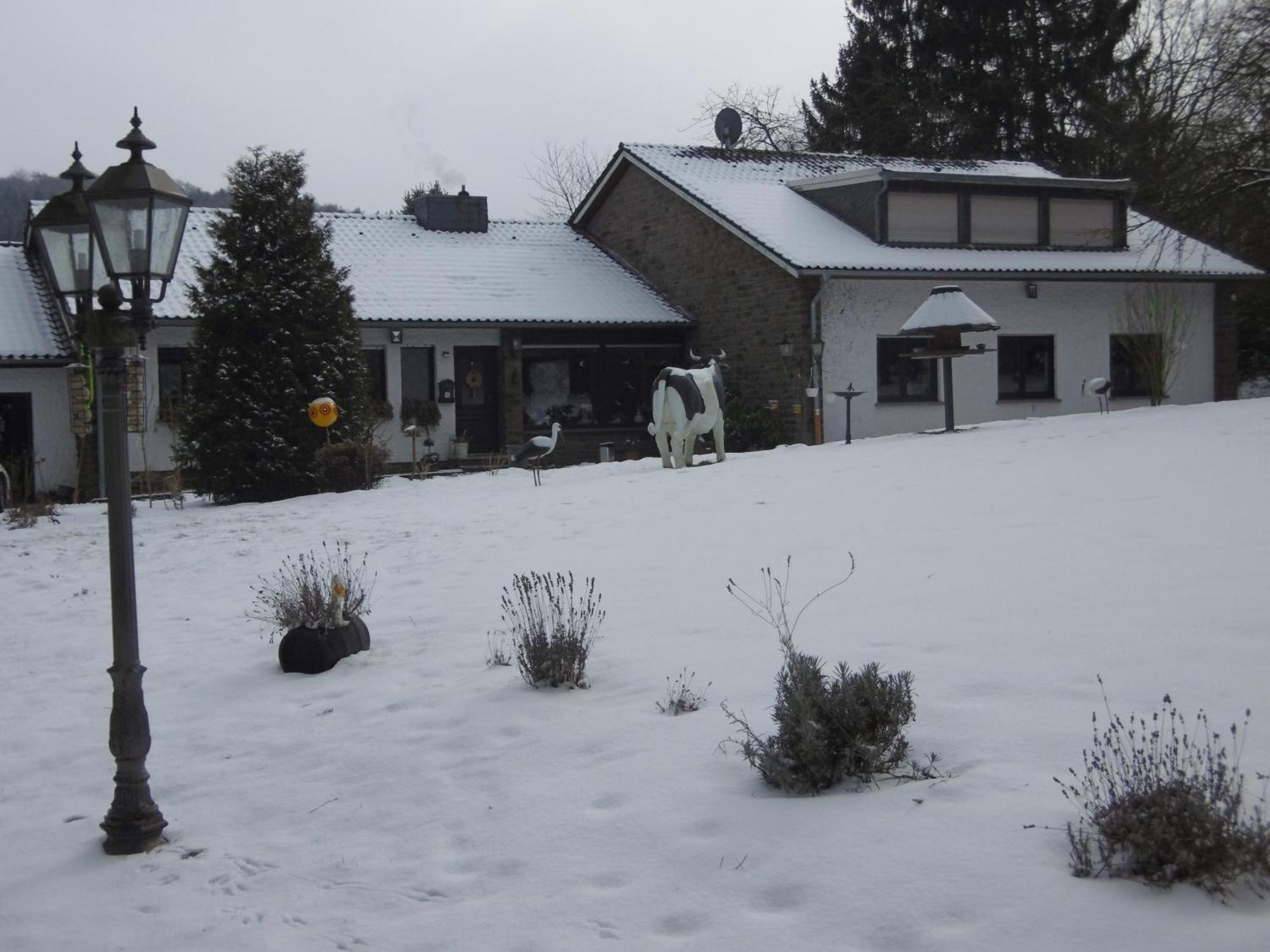 Apartmán Land Des Friedens In Nettersheim / Eifel Exteriér fotografie