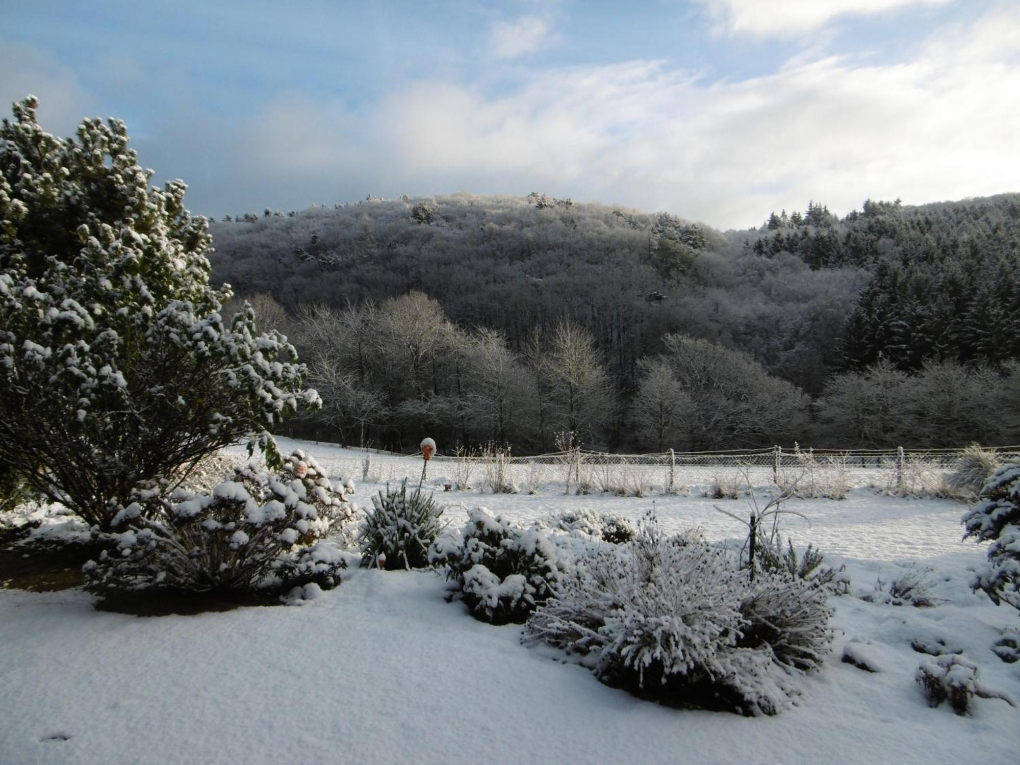 Apartmán Land Des Friedens In Nettersheim / Eifel Exteriér fotografie