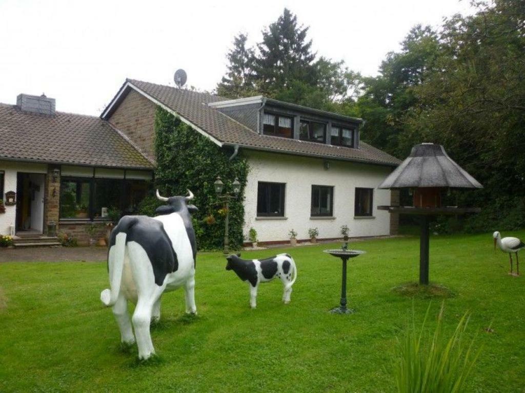 Apartmán Land Des Friedens In Nettersheim / Eifel Exteriér fotografie